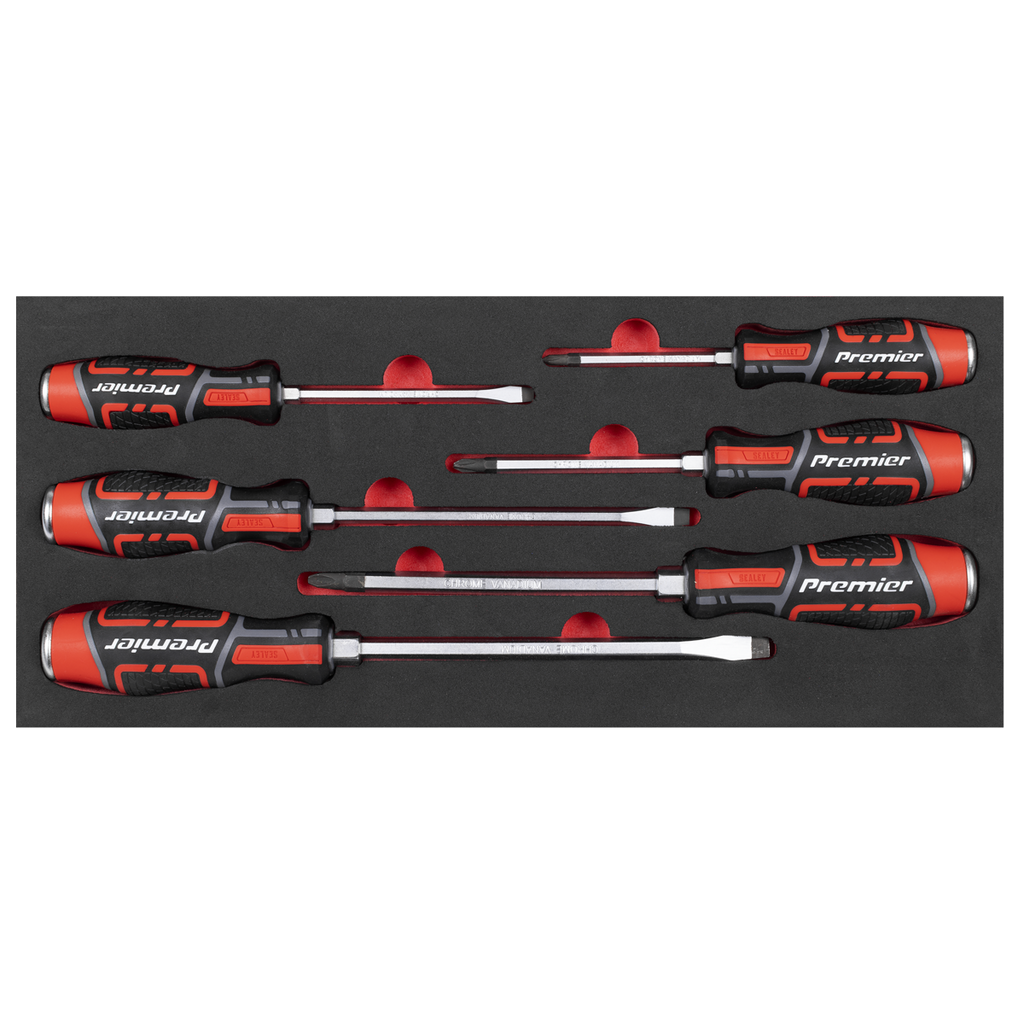 Sealey Premier Hammer-Thru Screwdriver Set with Tool Tray 6pc TBT54 - BostonPlates Autocare Centre