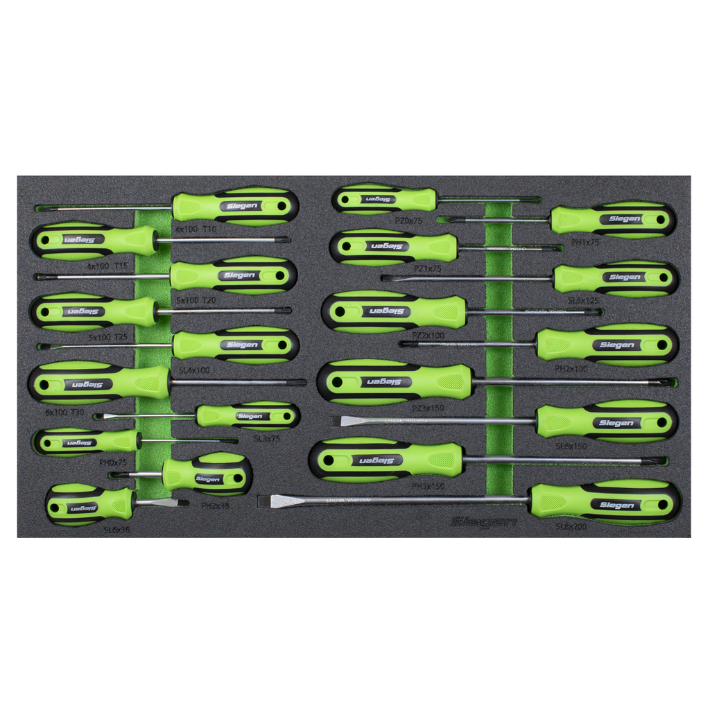 Siegen Screwdriver Set with Tool Tray 20pc S01276 - BostonPlates Autocare Centre