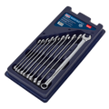 Sealey Premier Extra-Long Combination Spanner Set 10pc AK6310 - BostonPlates Autocare Centre