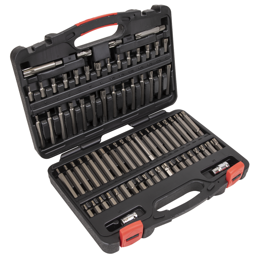 Sealey Premier Platinum Hex/Ribe/Spline Bit Set 3/8" and 1/2"Sq Drive AK21974P - BostonPlates Autocare Centre