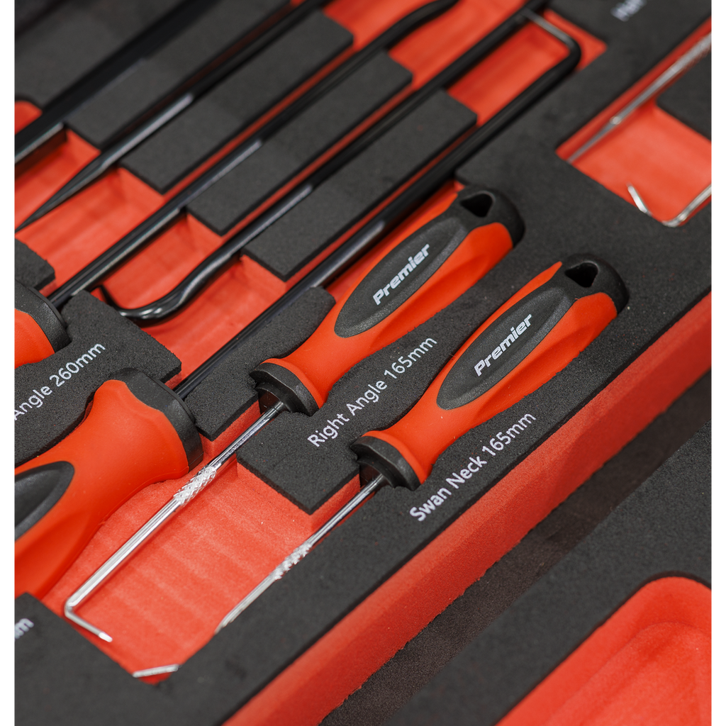 Sealey Premier Scraper & Hook Set with Tool Tray 9pc TBT65 - BostonPlates Autocare Centre