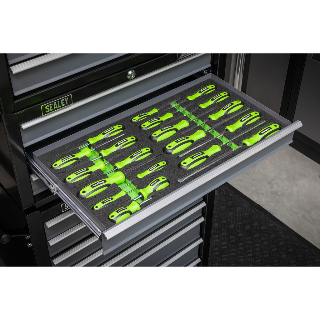 Siegen Screwdriver Set with Tool Tray 20pc S01276 - BostonPlates Autocare Centre