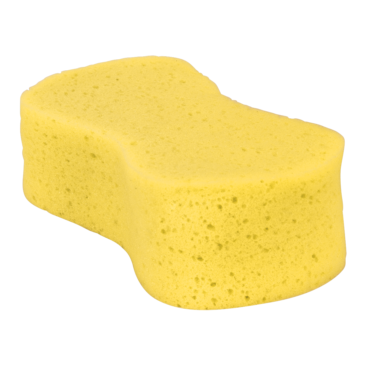 Large Sponge CC64