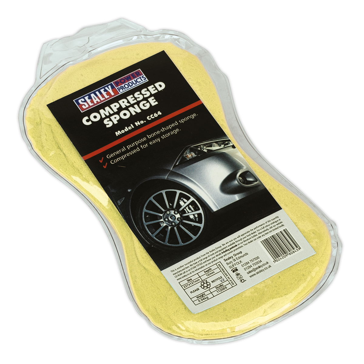 Large Sponge CC64