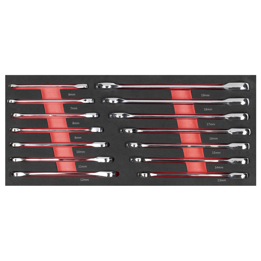 Sealey Premier Ratchet Spanner Set with Tool Tray 14pc TBT49
