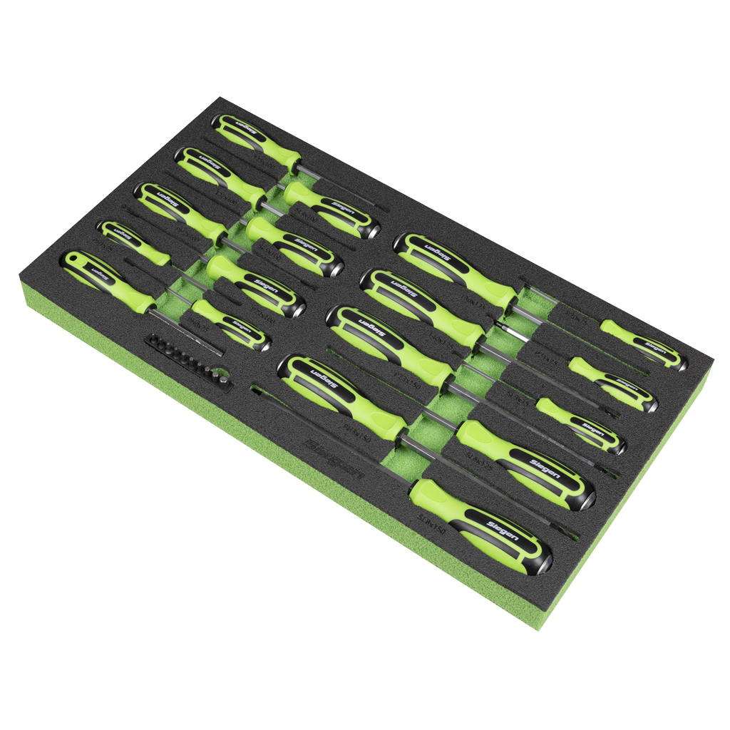 Siegen Hammer-Thru Screwdriver, Bit Driver & Bit Set with Tool Tray 28pc S01281 - BostonPlates Autocare Centre