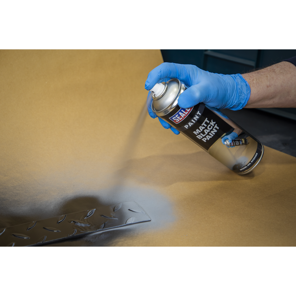 Sealey Matt Paint 500ml - Black SCS026S - BostonPlates Autocare Centre