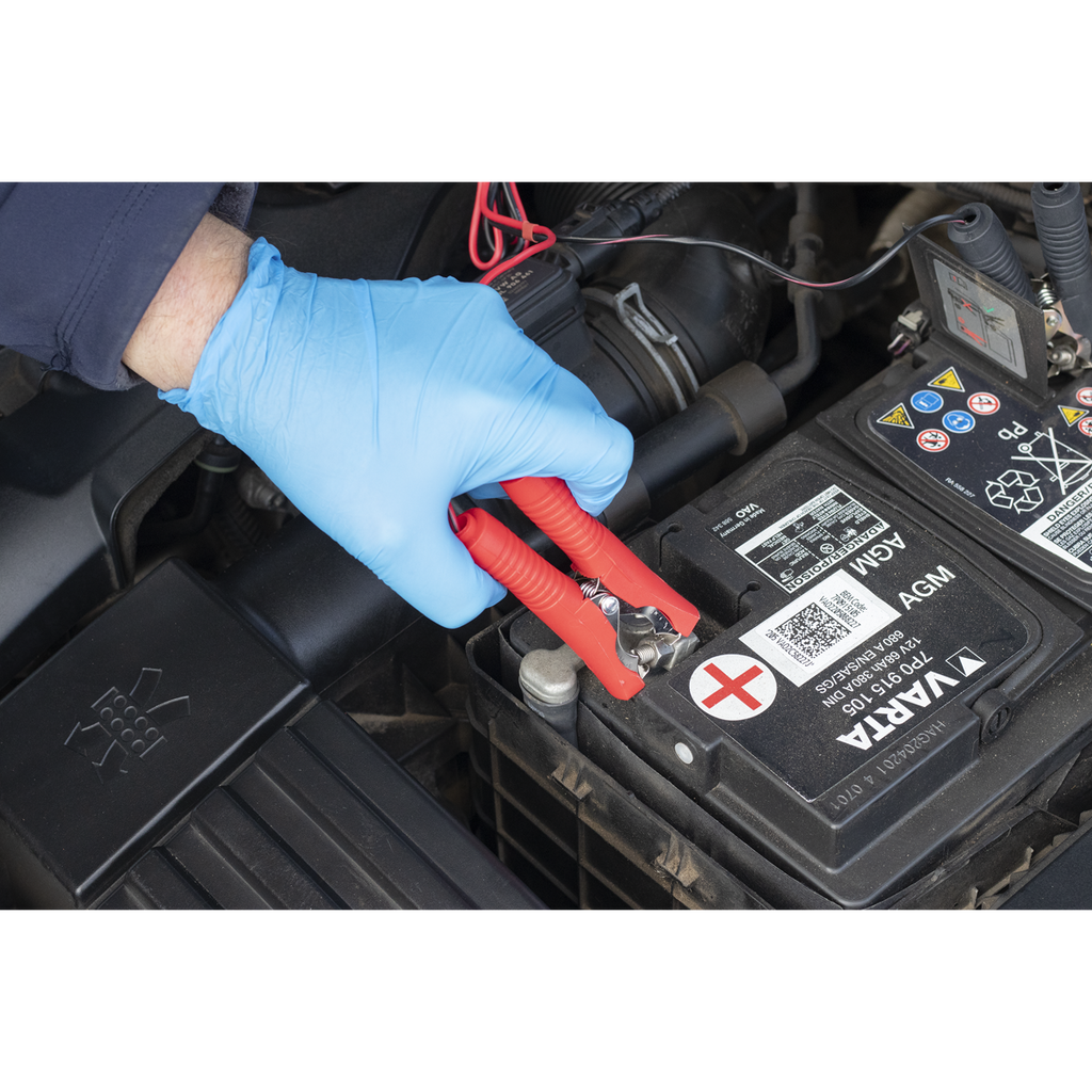 Sealey 6/12V Fully Automatic Battery Maintainer/Charger 1A SBC1 - BostonPlates Autocare Centre